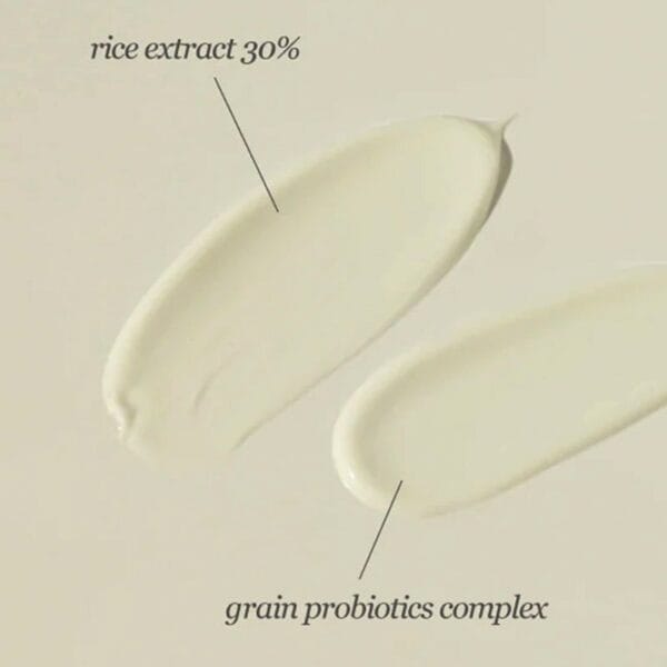 Beauty Of Joseon Sunscreen Rice plus Probiotics Spf 50 Pa 2.jpg